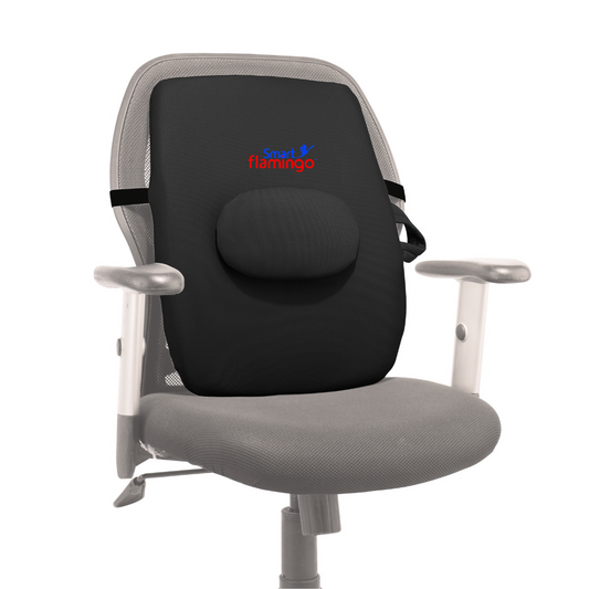 Spine Neck Back Chest