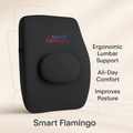 Black ergonomic lumbar support pillow with Smart Flamingo branding on a beige background
